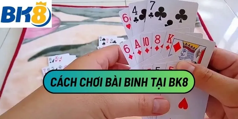 Cách Chơi Bài Binh: Tất Tần Tật Về Thể Loại Bài Trí Tuệ